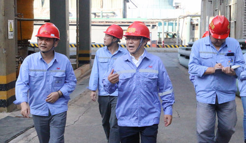 王大真深入雙環公司現場察看清潔文明生產推進情況(圖1)