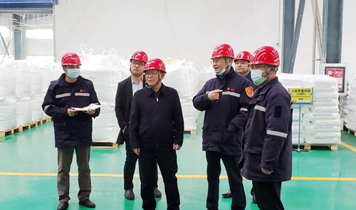 王大真在股份公司一線向全集團廣大干部職工拜年(圖12) 王大真在股份公司一線向全集團廣大干部職工拜年(圖12)