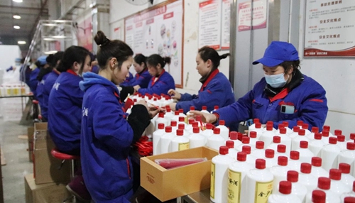 金沙酒業:新年生產忙 搶抓“開門紅”(圖1) 金沙酒業:新年生產忙 搶抓“開門紅”(圖1)