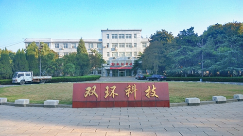 雙環公司:堅定信心 扛起責任 奮力作為(圖1) 雙環公司:堅定信心 扛起責任 奮力作為(圖1)