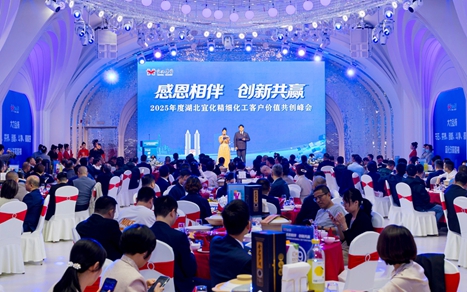 感恩相伴創新共贏！湖北宜化舉辦精細化工客戶價值共創峰會(圖1)