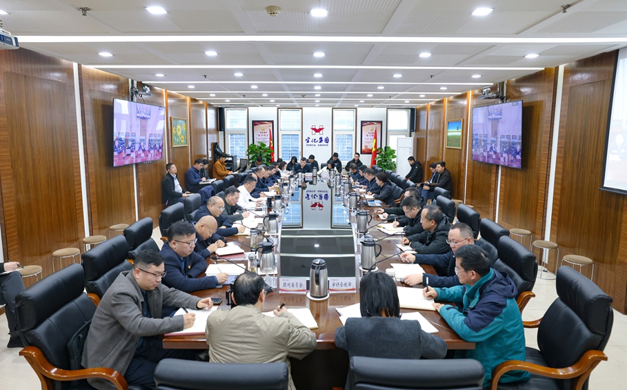 集團黨委傳達學習全國兩會精神 研究部署貫徹落實工作(圖1) 集團黨委傳達學習全國兩會精神 研究部署貫徹落實工作(圖1)