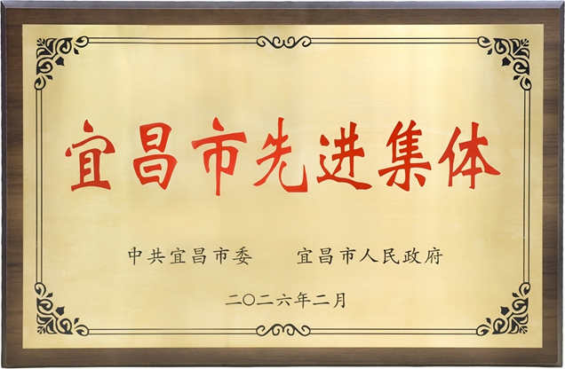 宜化集團獲評宜昌市先進集體(圖1)