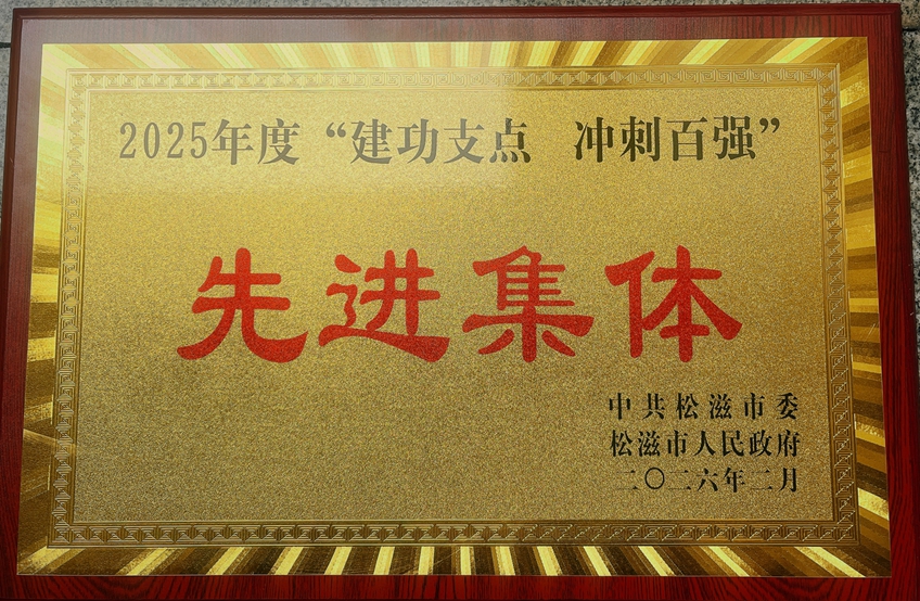 松滋肥業獲評松滋市2025年度“建功支點 沖刺百強”先進集體稱號(圖1)