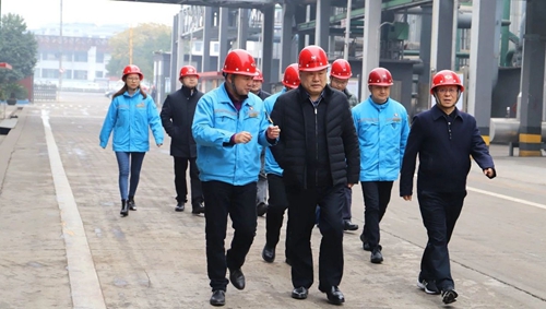 袁衛(wèi)東到股份、楚星和新項目現(xiàn)場調(diào)研