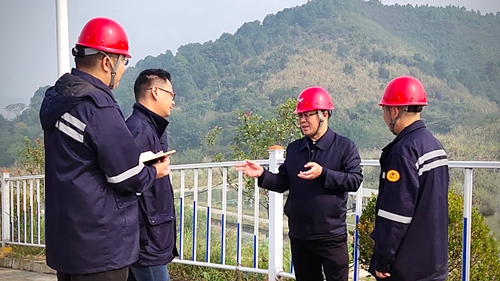 王大真到松滋肥業、楚星公司、新材料公司和股份公司現場調研