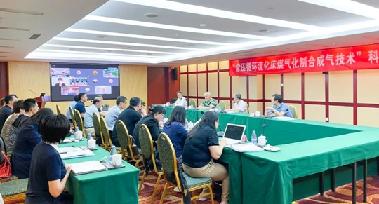 通過鑒定！新疆宜化一項技術達國際領先水平！